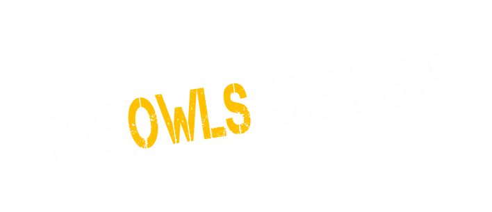 Serious Owl Business